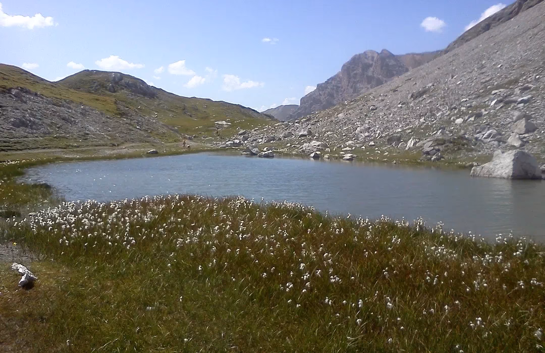 Where is Mortlake London?