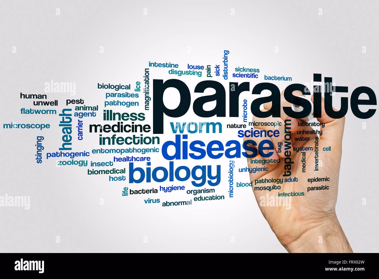 Quels sont les différents types de parasites ?