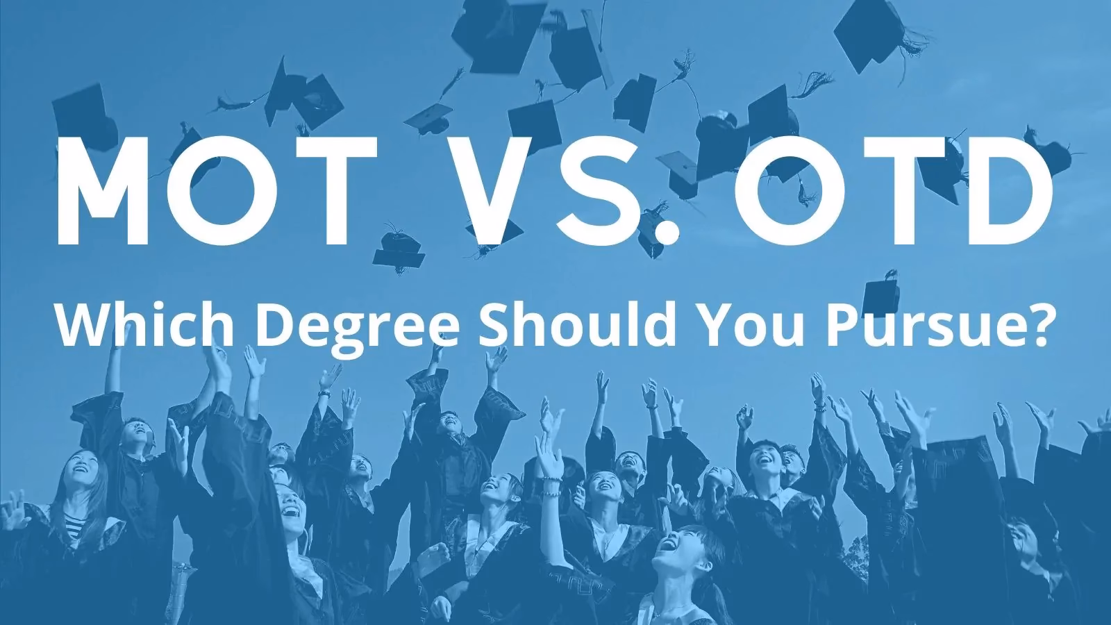 Where can I get a PhD in transport engineering & planning?