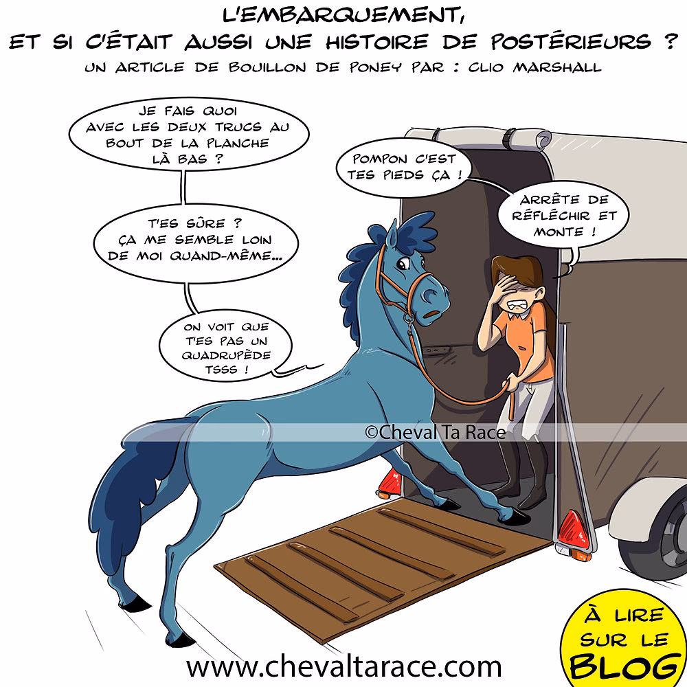 Comment maîtriser l’arrêt en équitation ?