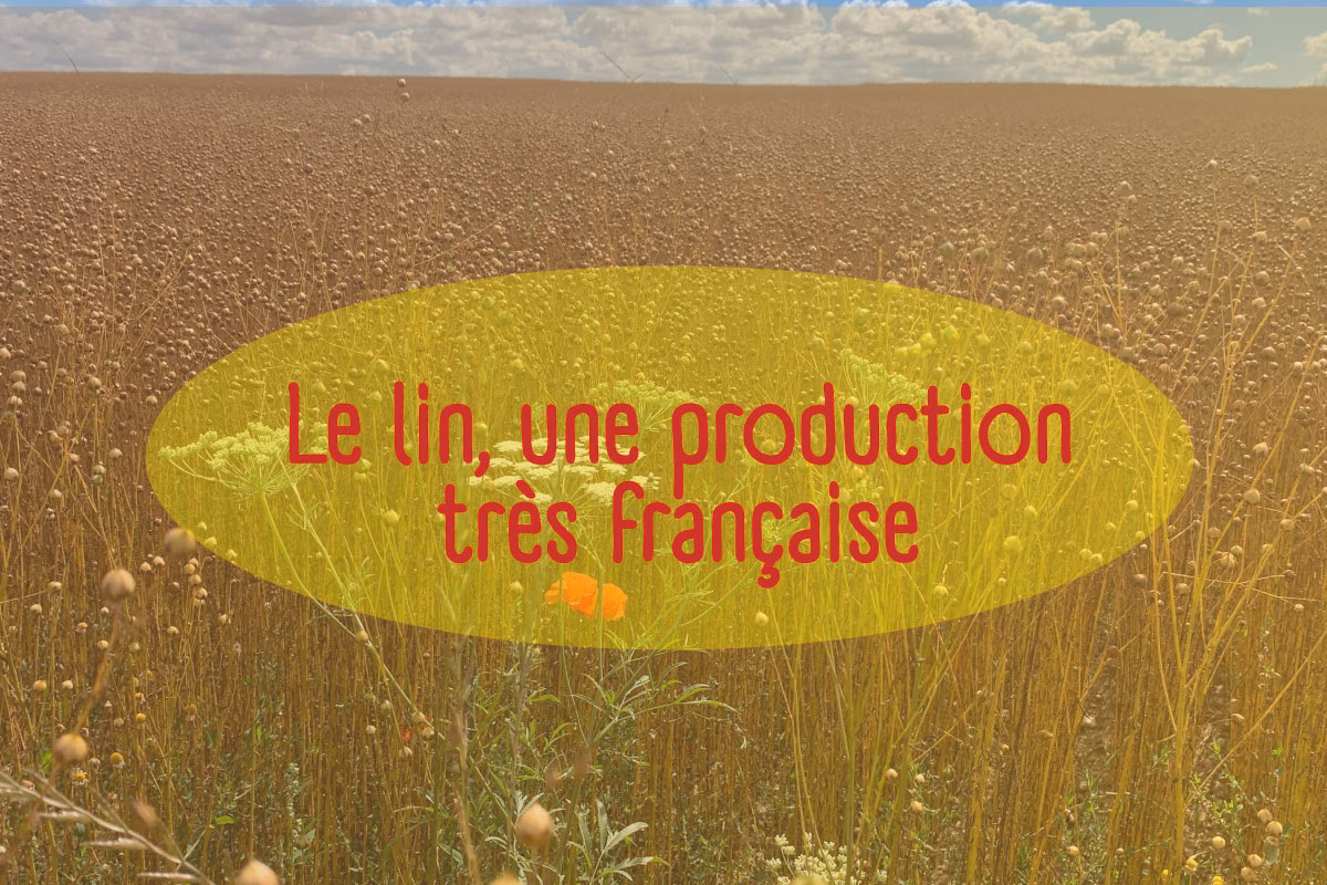 Quels sont les mots français commençant par Lin ?