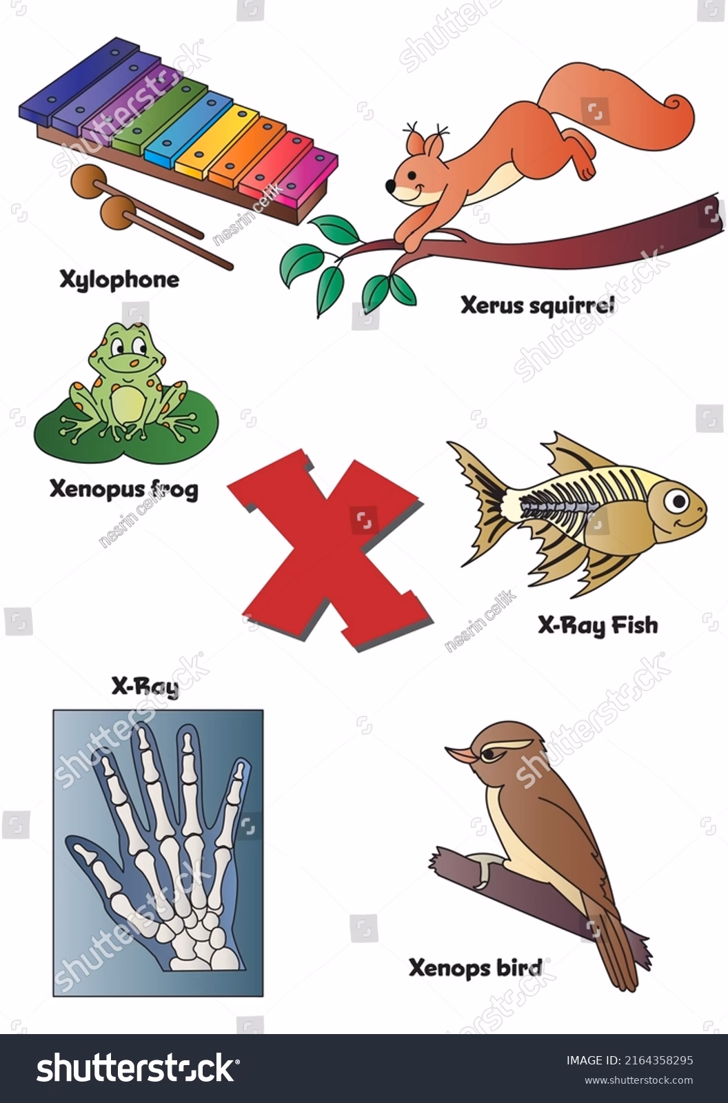 Quels sont les verbes qui commencent par X?