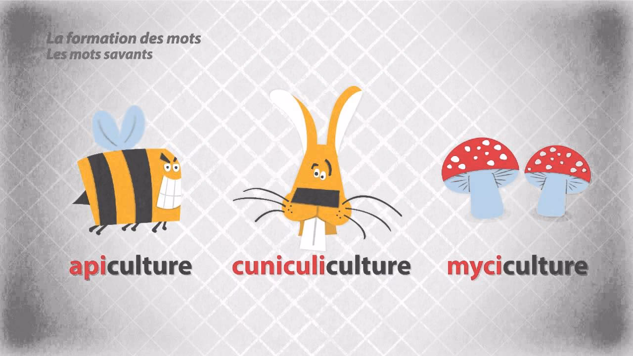 C'est quoi un livre savant?