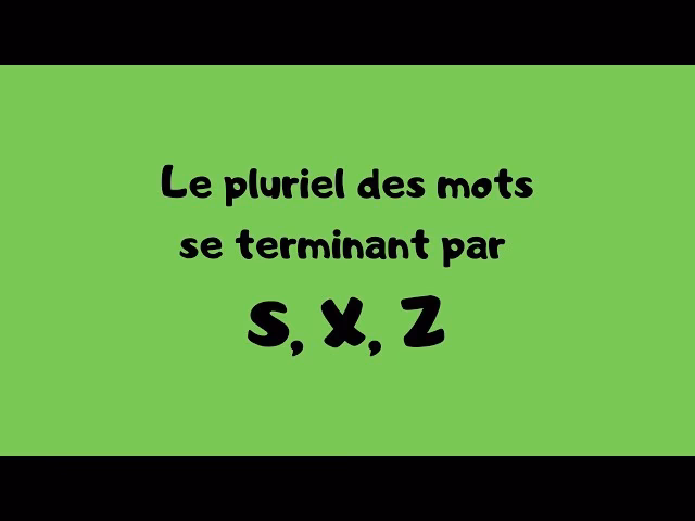 Quel est le nombre de mots qui finissent par z?