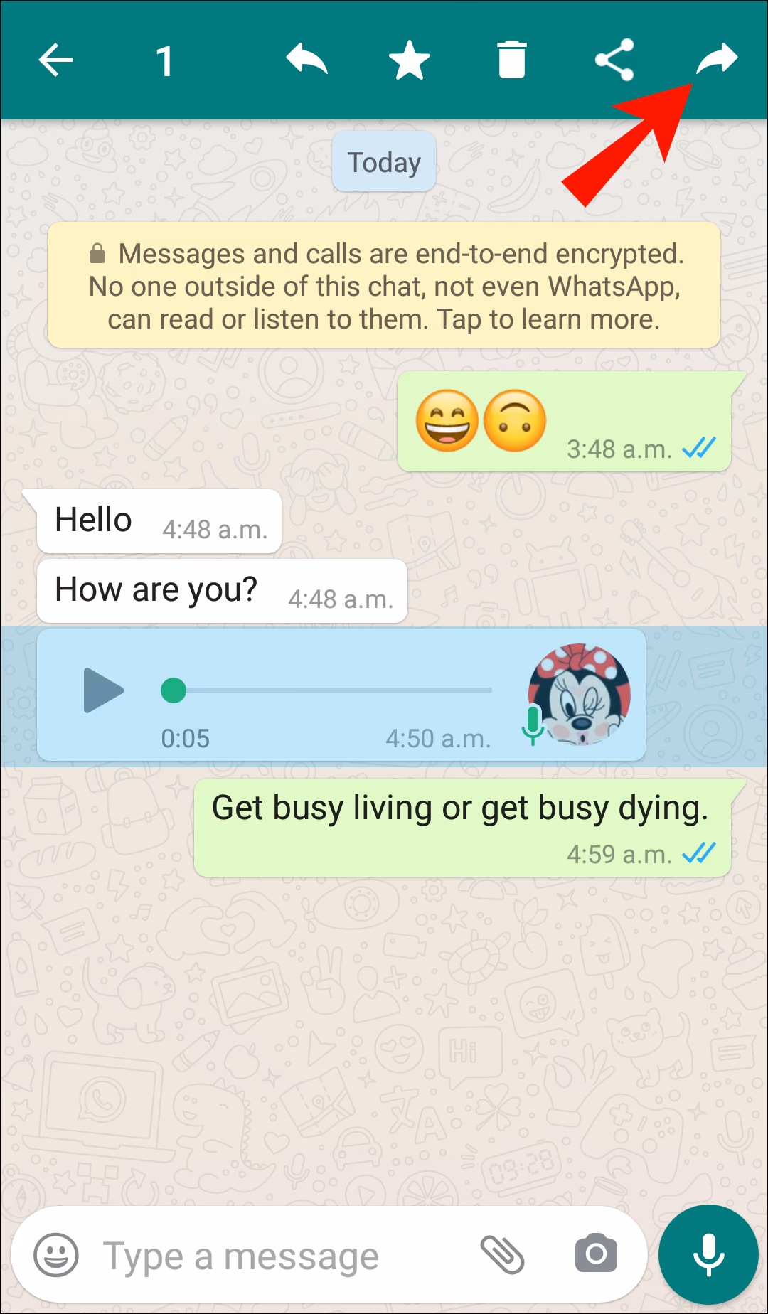 What are WhatsApp read receipts?