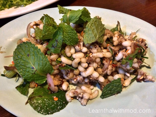 Who are the transport authorities in Thailand?