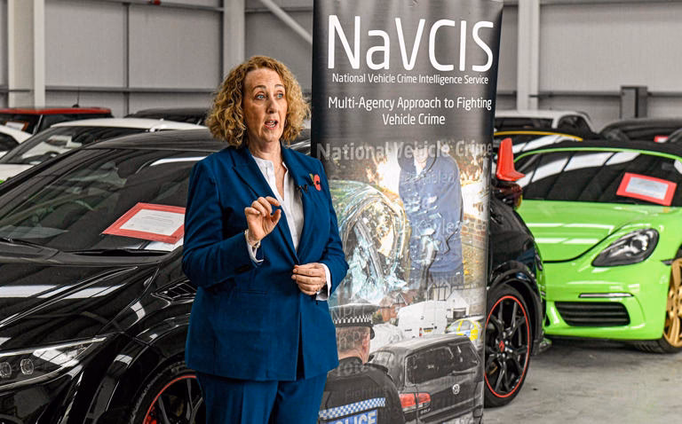 What is NavCIS & how does it work?