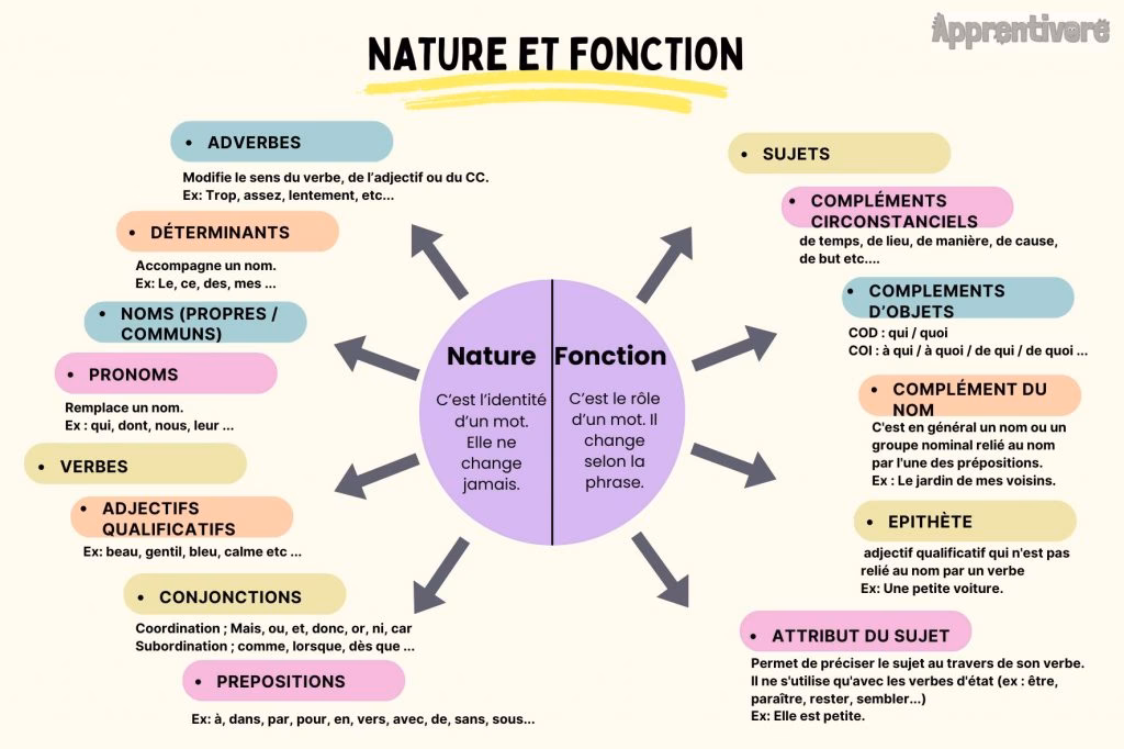 Quel est le singulier de leur ?