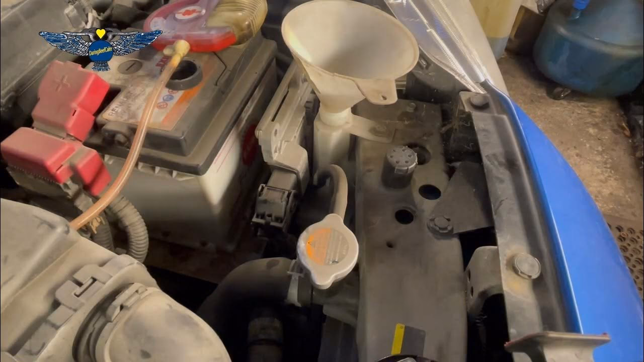 What kind of oil does a Micra K12 take?