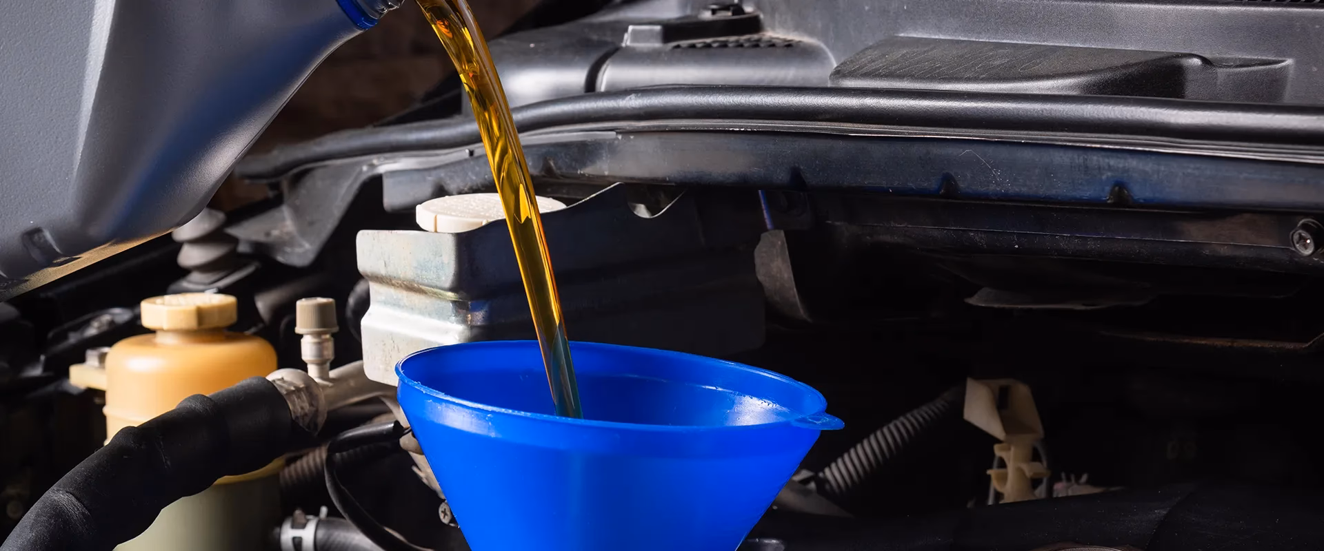 Who is North Country oil?