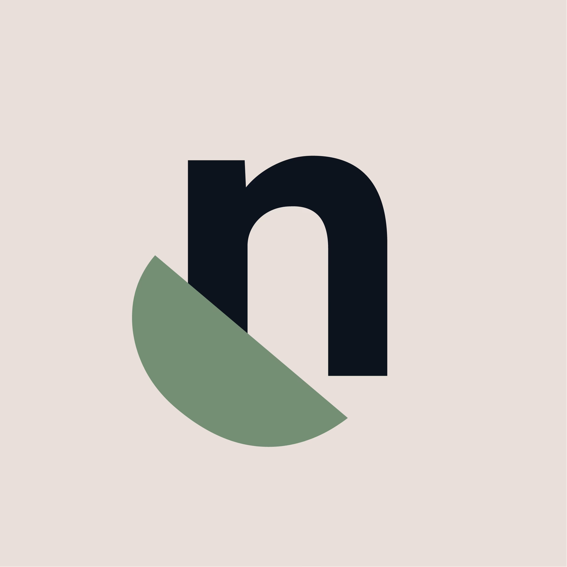 What is Nutshell car insurance?