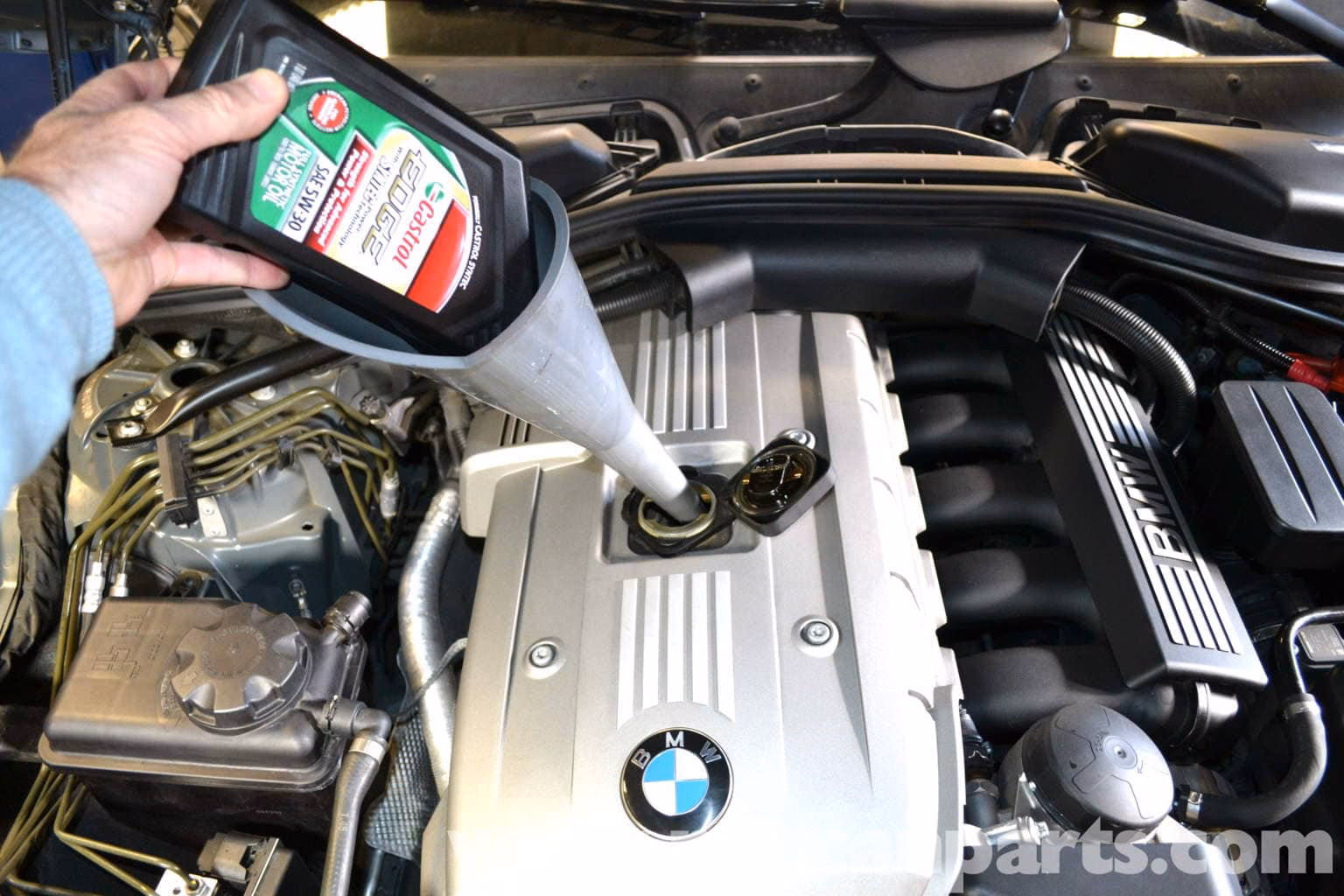 What does BMW 5 Series oil cover?