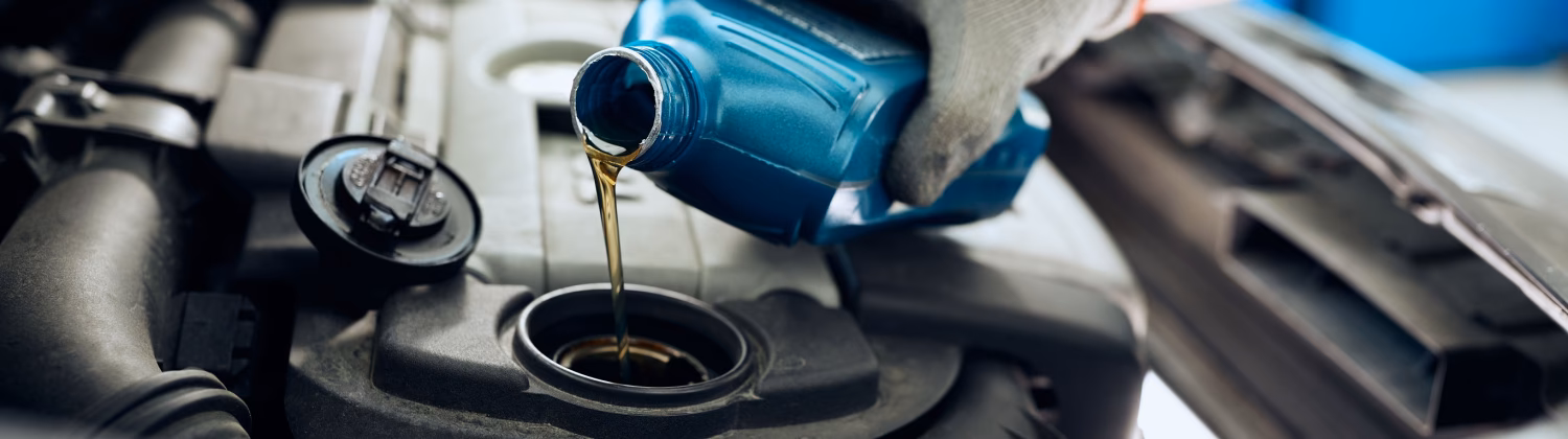 Who is civic auto repair in Nelson?