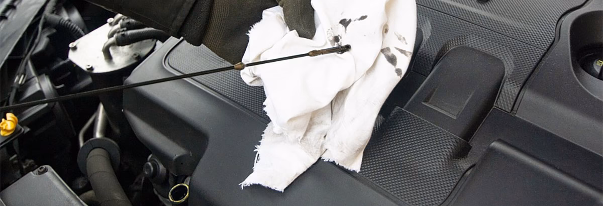 How do I contact Mr Lube in Newmarket?