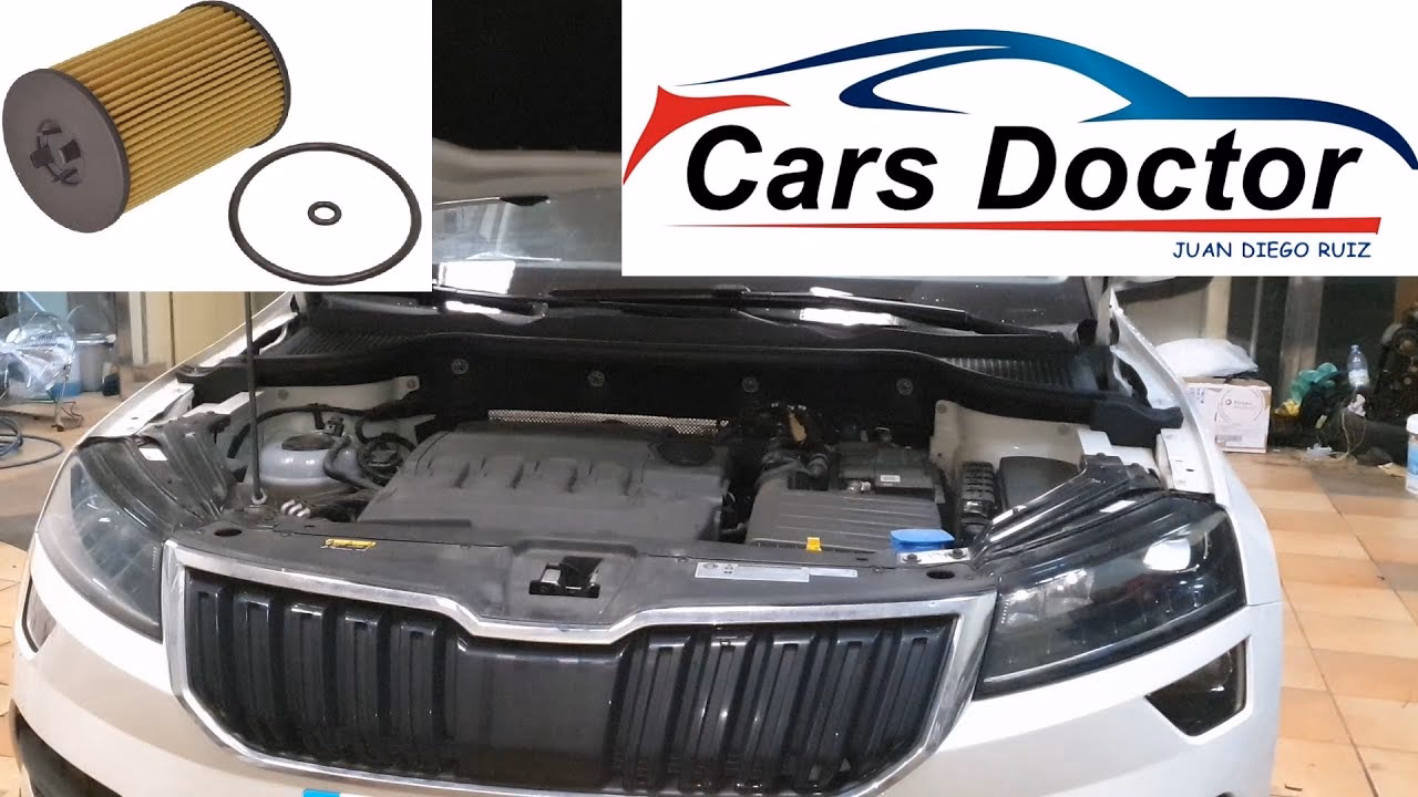 What's wrong with my Skoda Karoq?