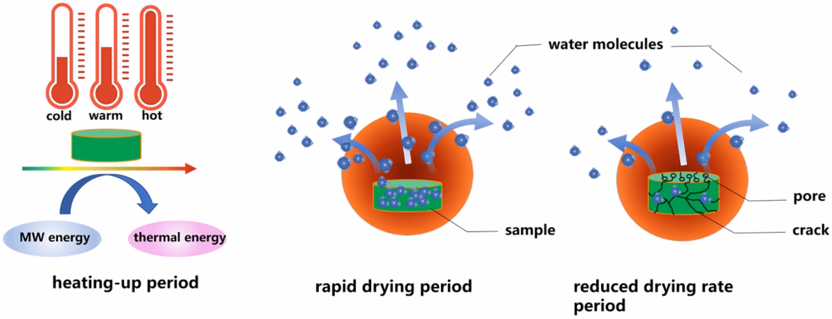 Can microwave-assisted extraction of soy isoflavones prevent rancidity in fish oil?