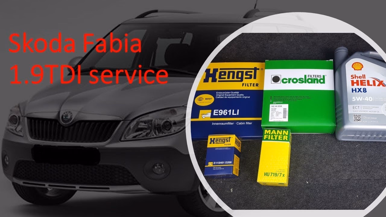 How often should I Change my Skoda oil?