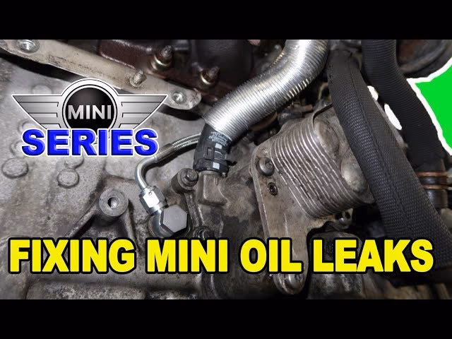 Do Mini Coopers have oil leaks?
