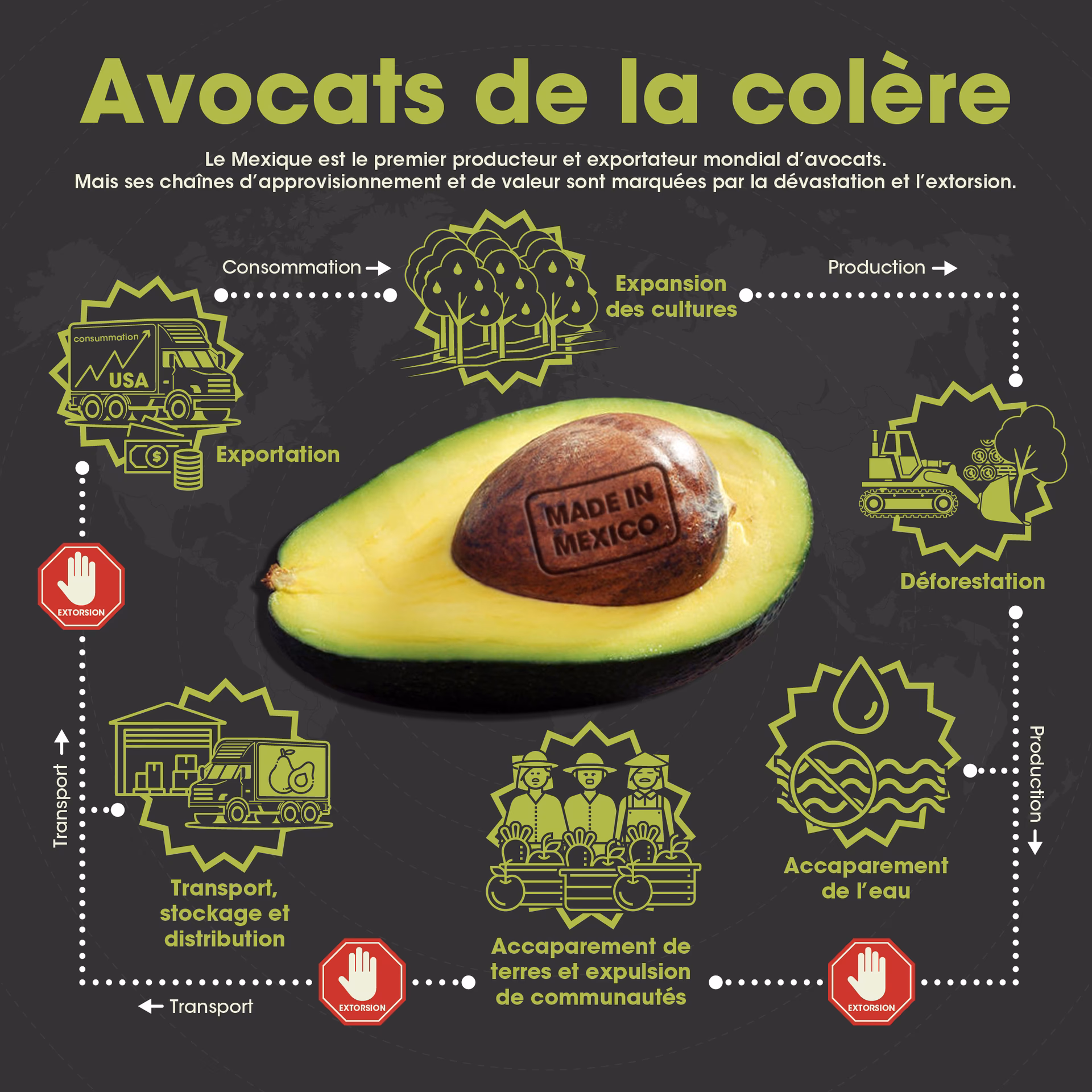Quelle est l’origine du mot avocat ?