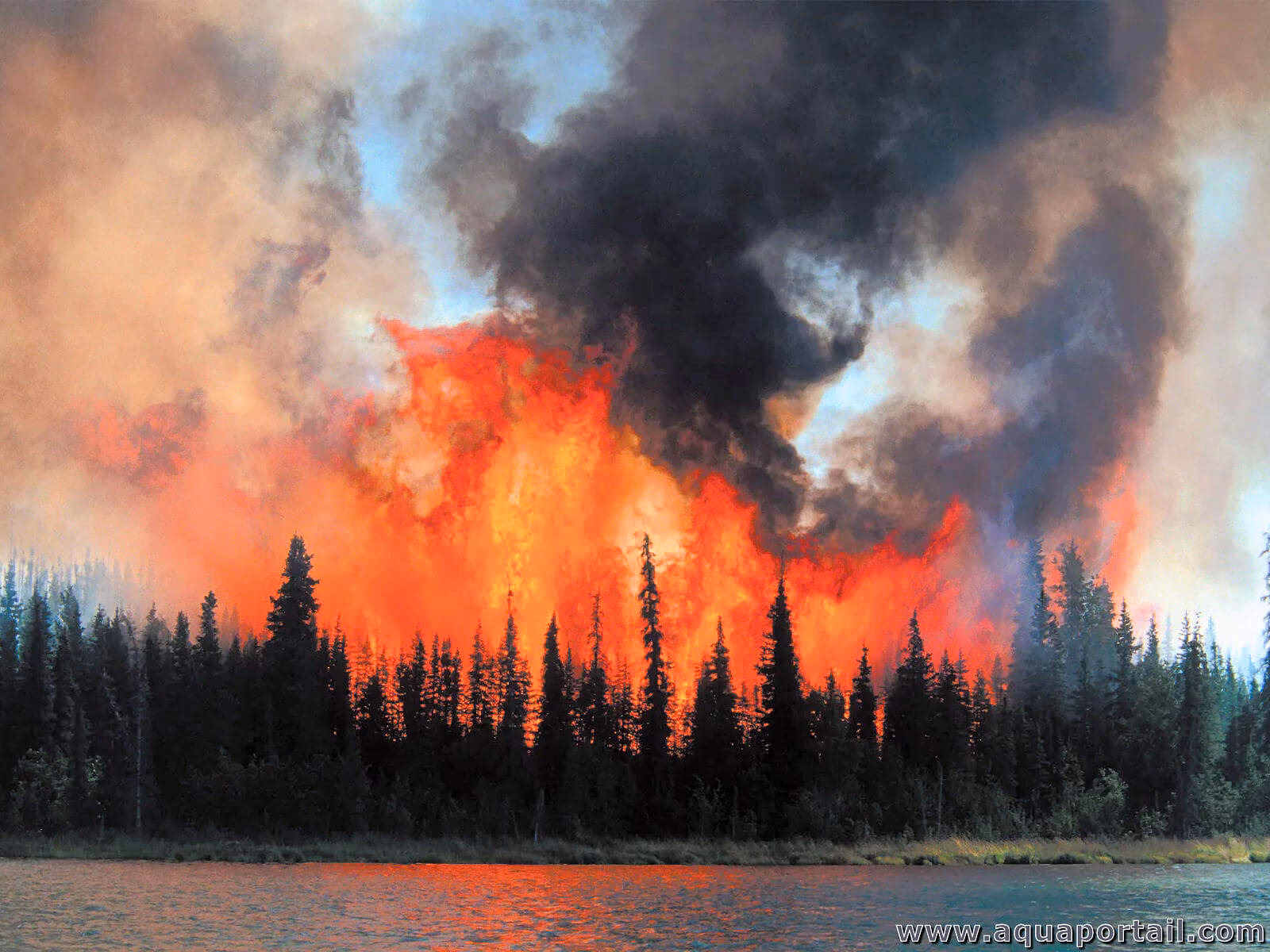 Quelle est la définition du mot incendie ?