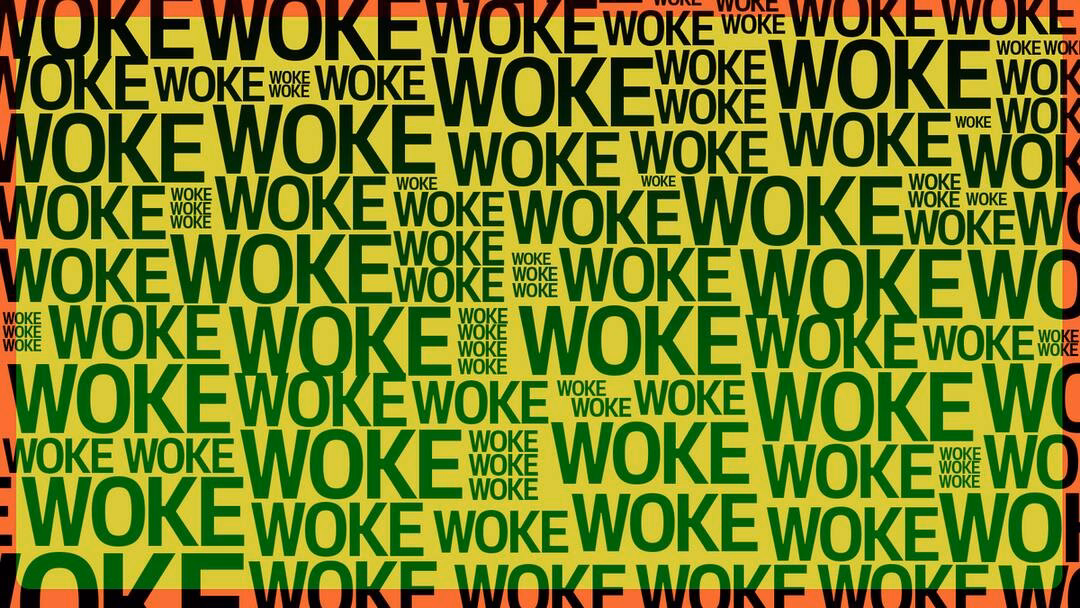 Quelle est l'origine du wokisme ?