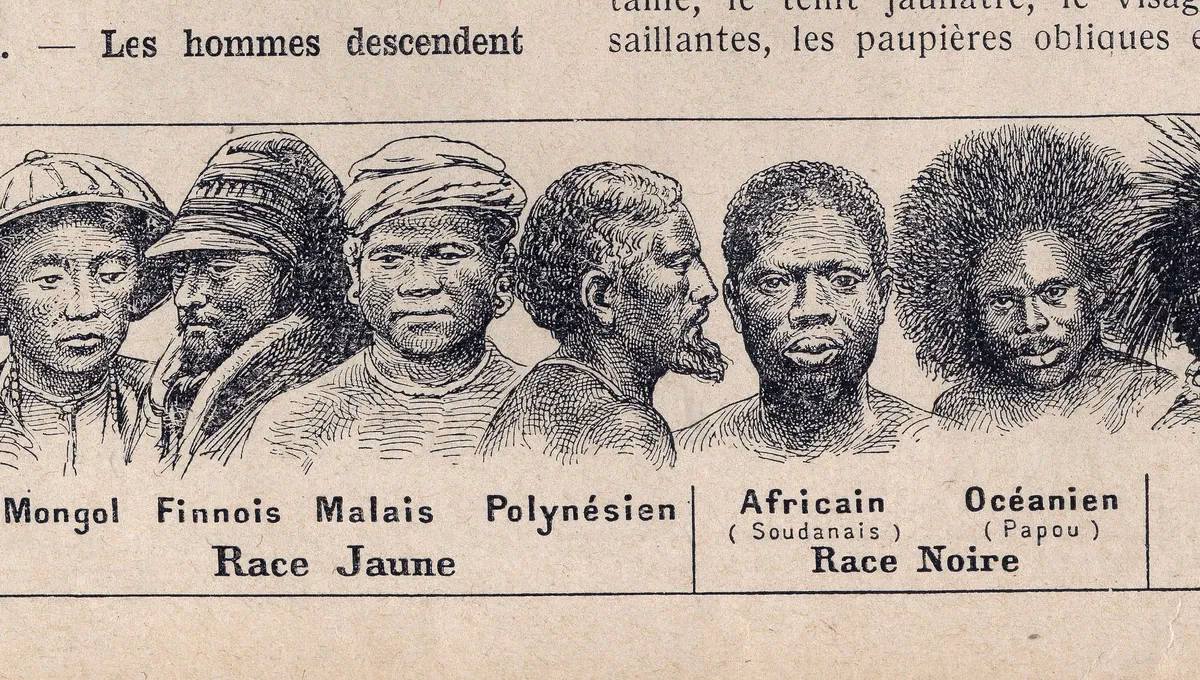 Quels sont les différents types de races ?