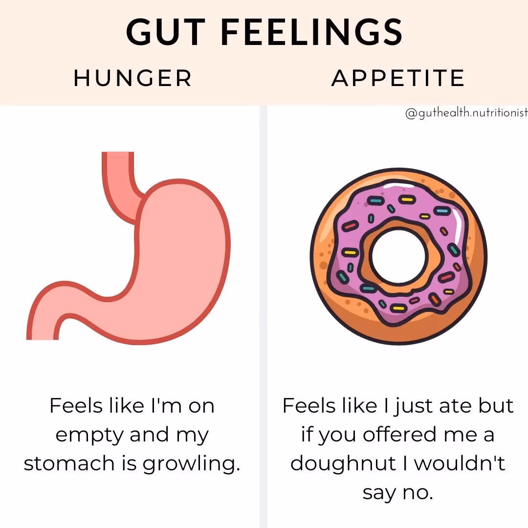 What is a stomach ache?