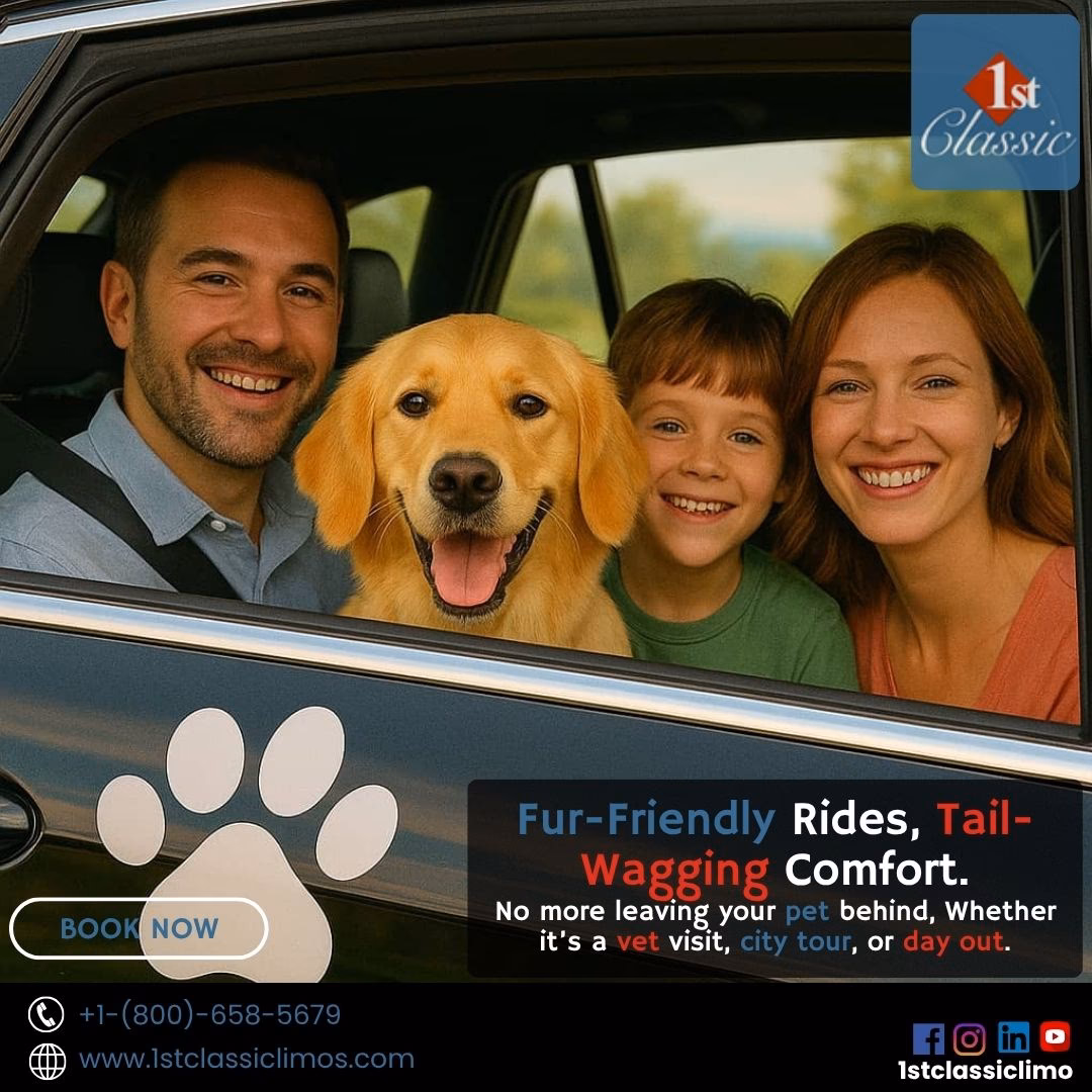 Why should you choose pet taxi Ltd?
