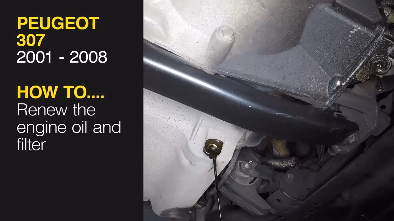 What kind of engine does a Peugeot 307 have?