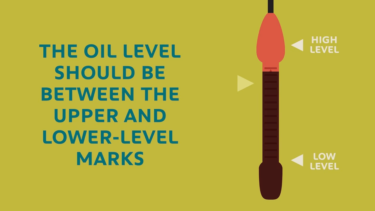 Should I check oil level on my 407?