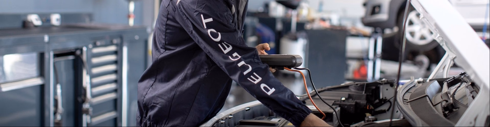 Where can I get my Peugeot serviced in Sydney?