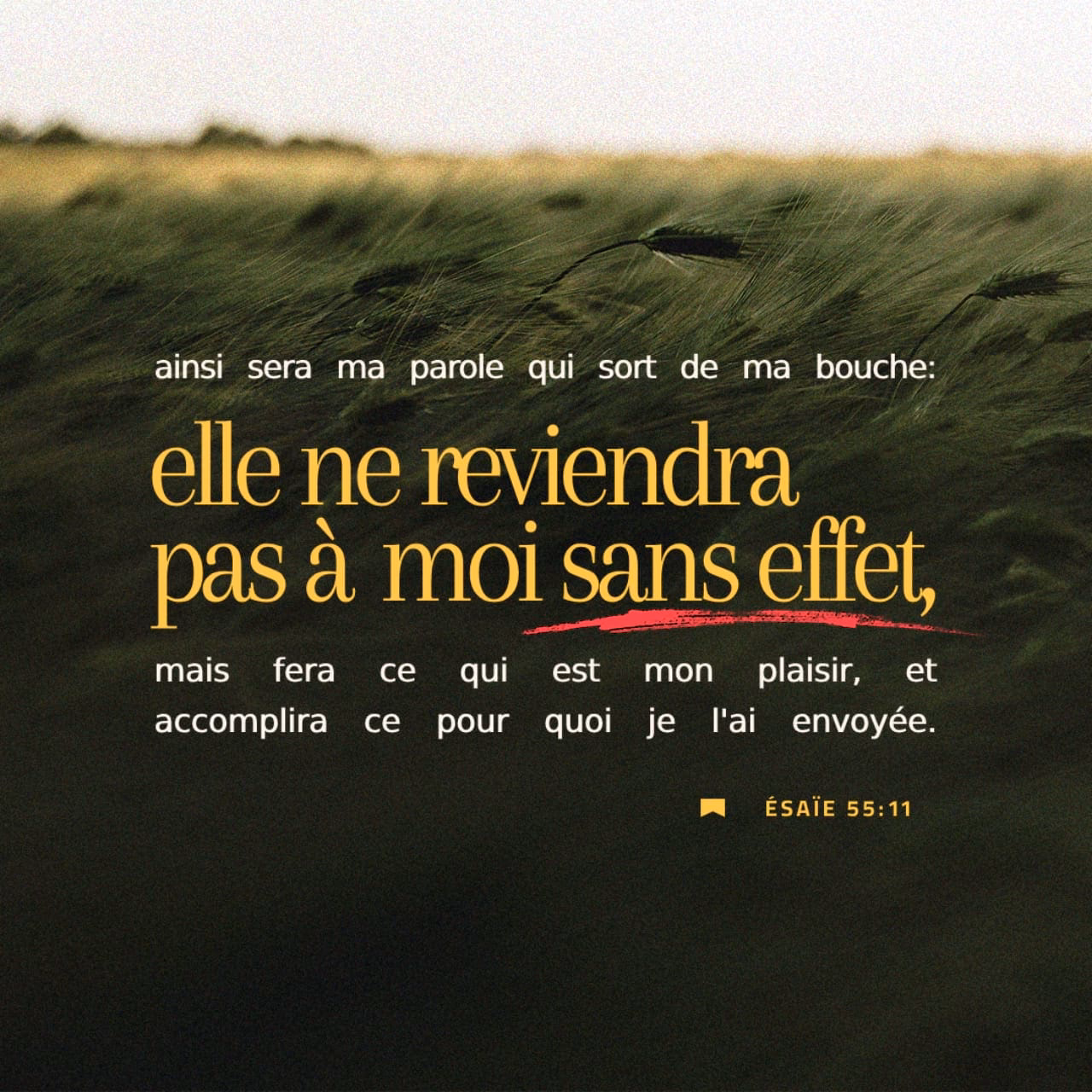 Qu'est-ce que la pluie?