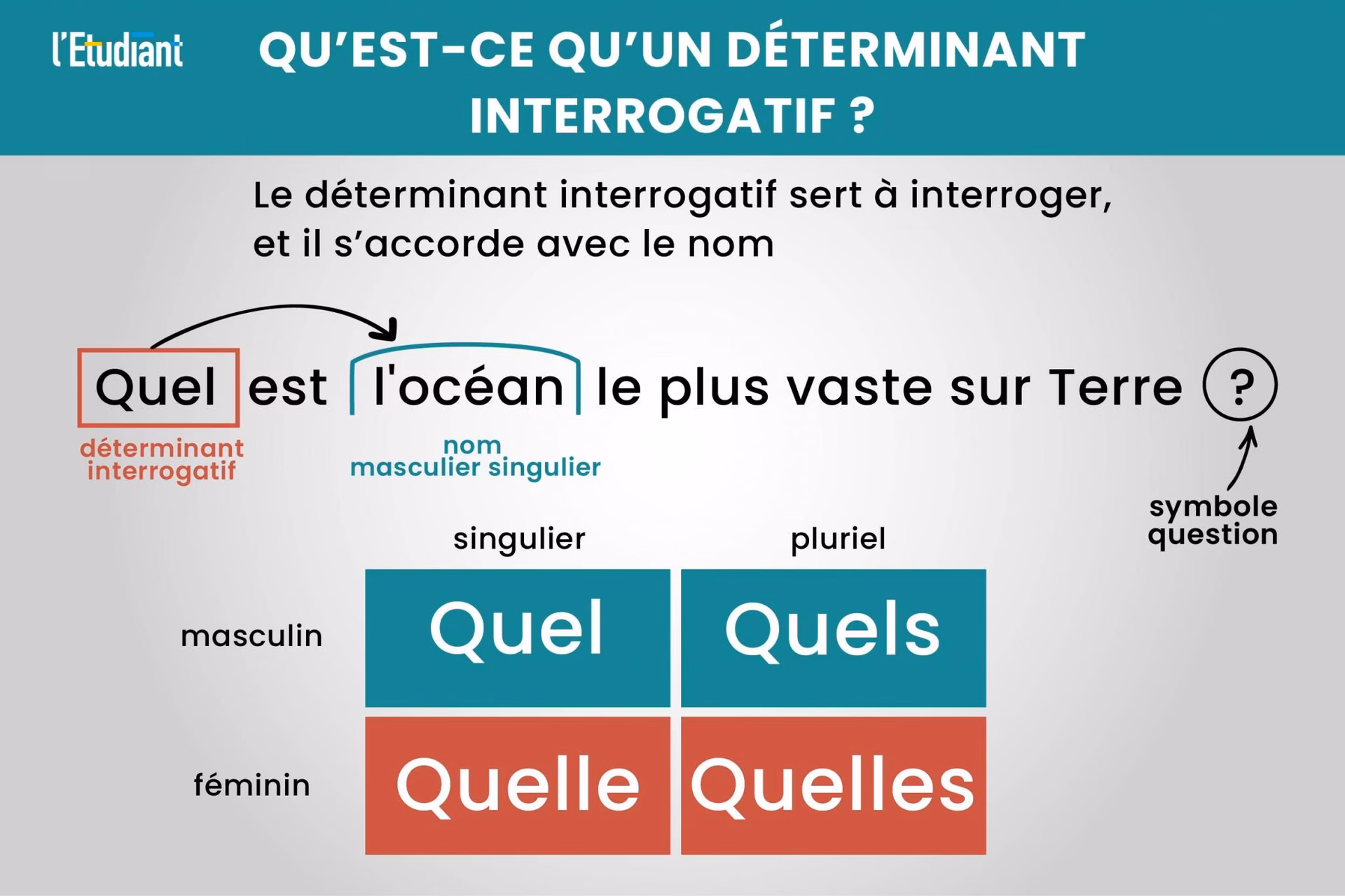 Qu'est-ce que le texte souligné en pointillé ?