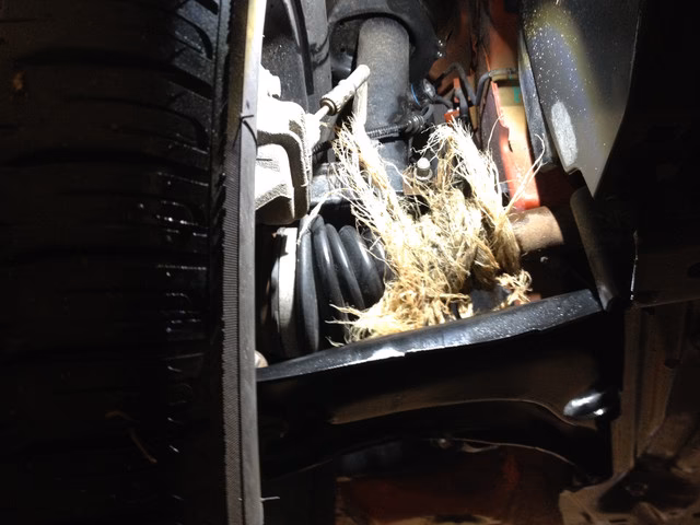 Does Peugeot have a brake warranty?
