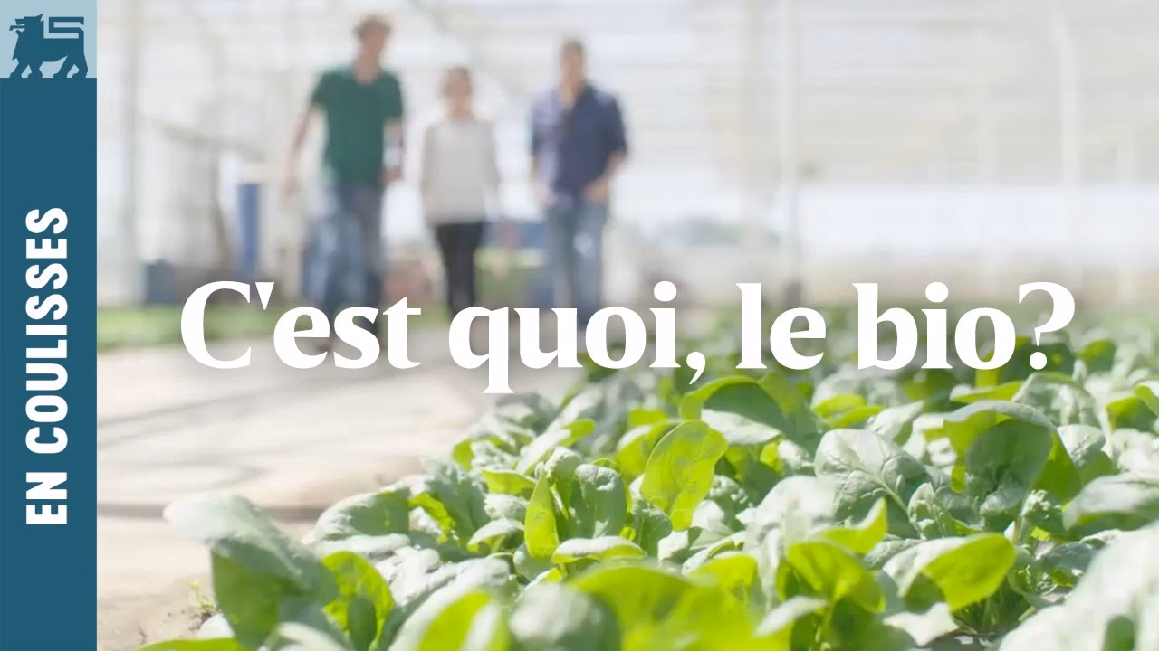 Quels sont les avantages du bio ?