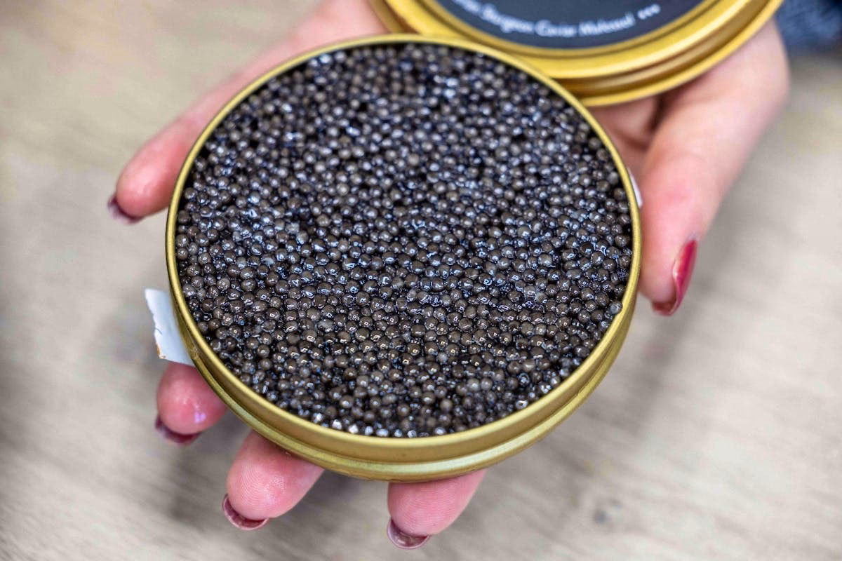 Qu'est-ce que le caviar ?