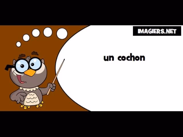 Quel est le synonyme de porc ?