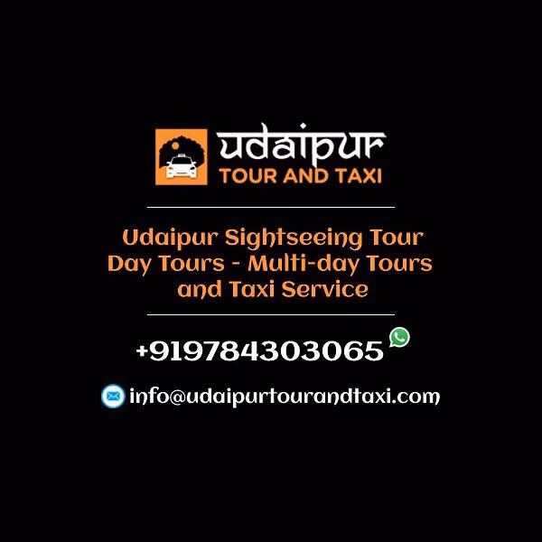 Who is Udaipur tour travels?