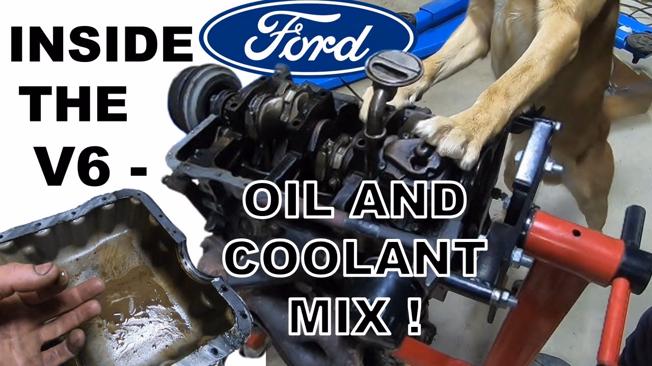 What is a Cologne V6?