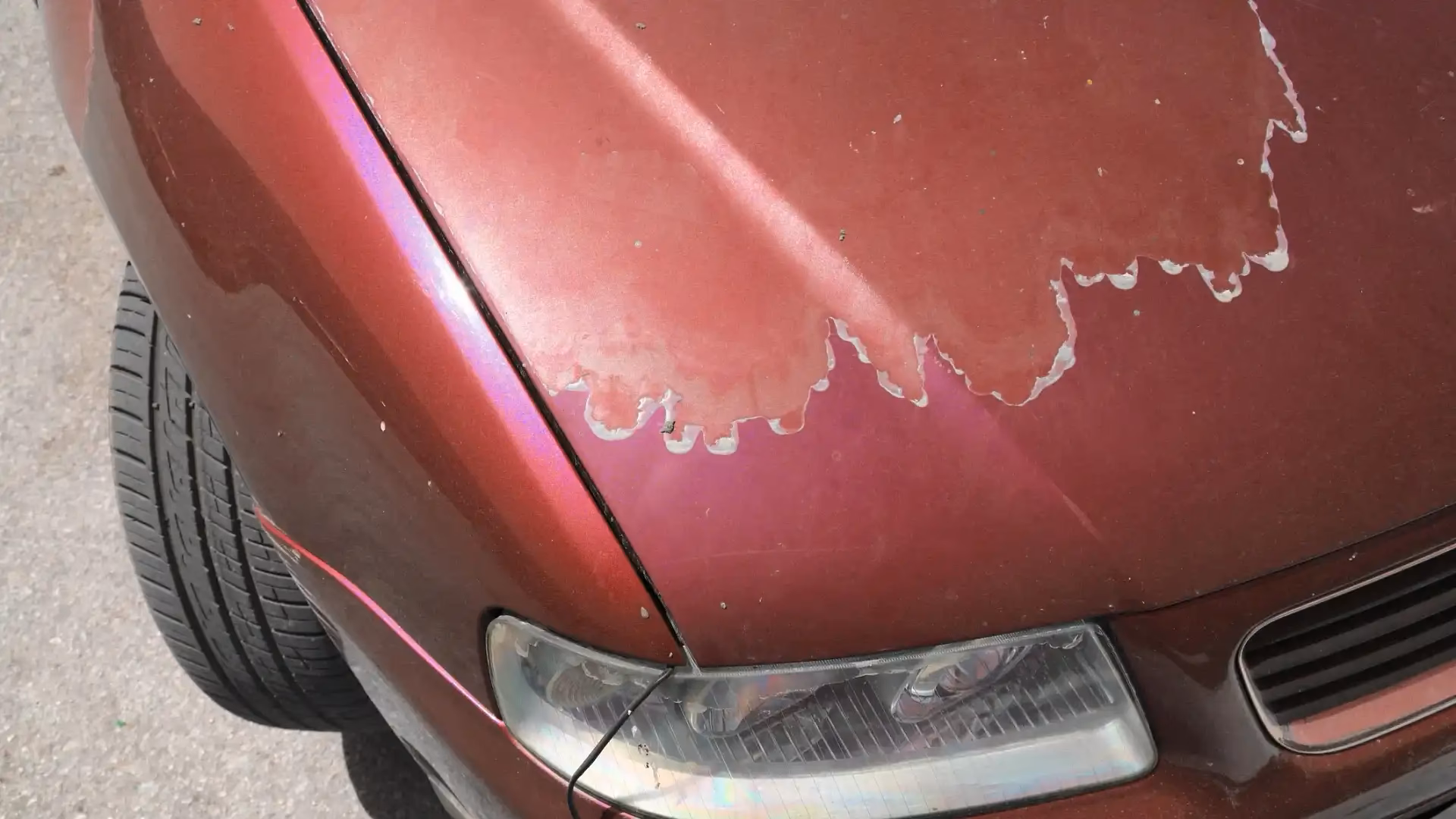 Which car color should you avoid?