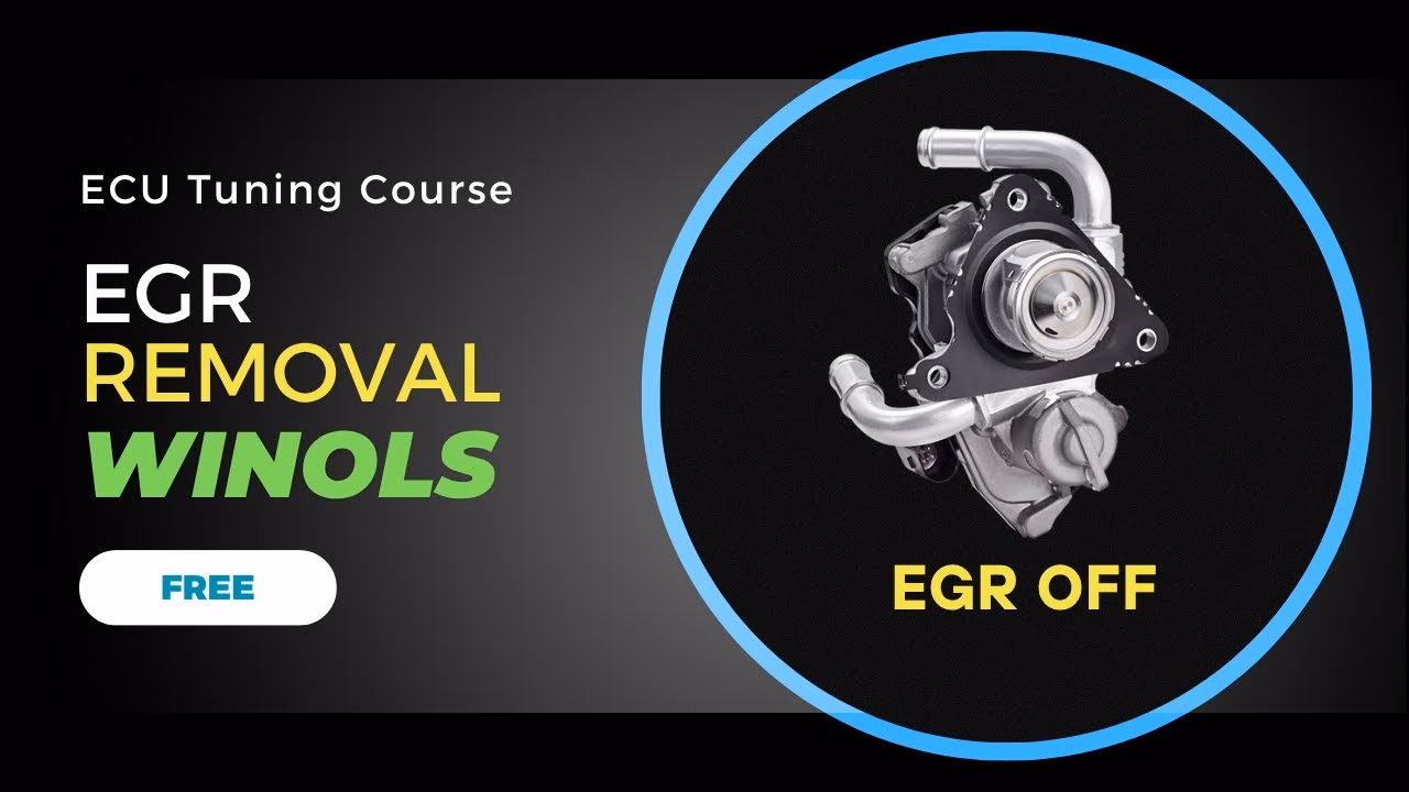 How do I disable the EGR system?