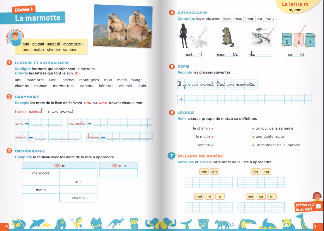 Comment lister les voyelles phonétiques du français?
