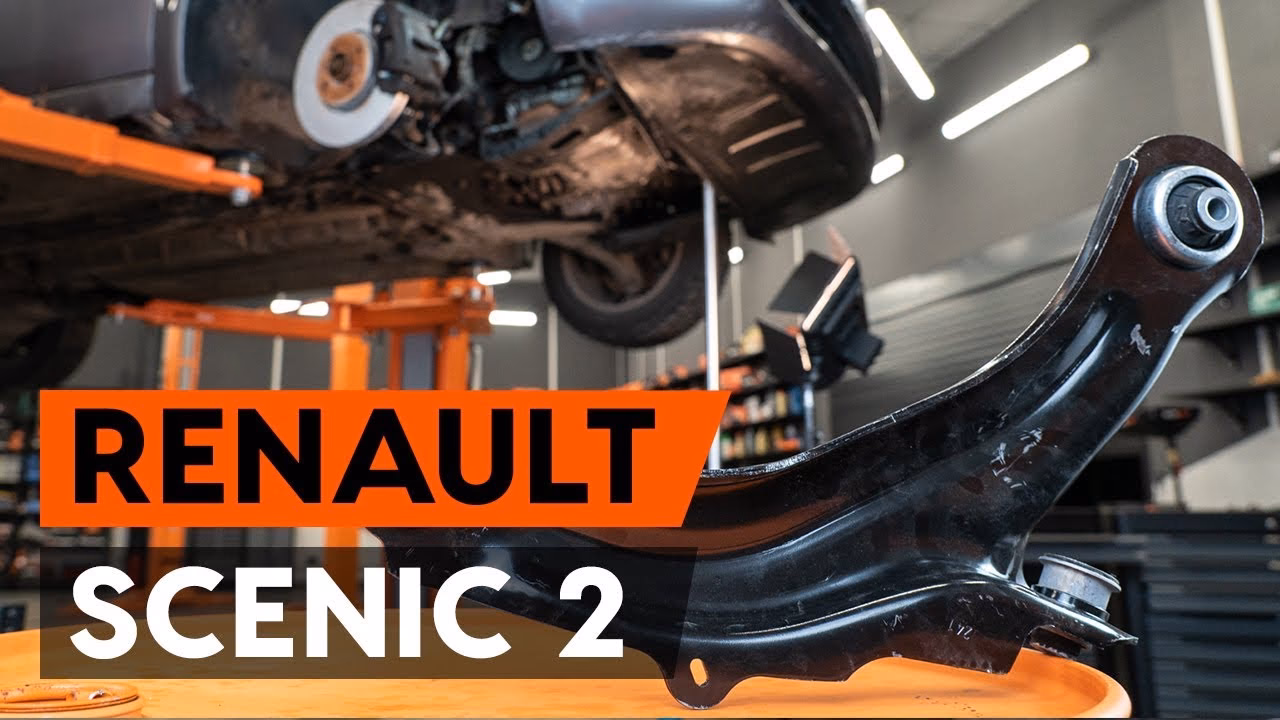 What services do Renault technicians offer?