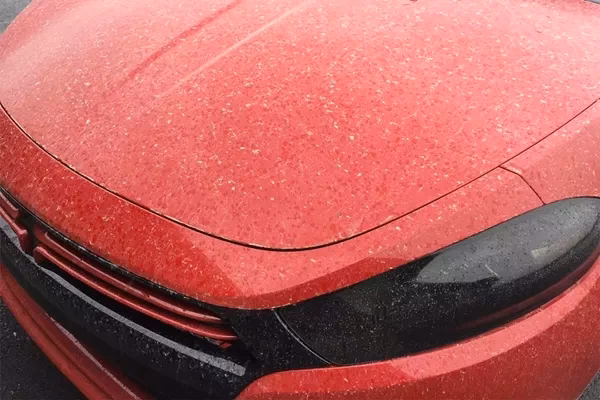 How do I prevent acid rain spots on my car?