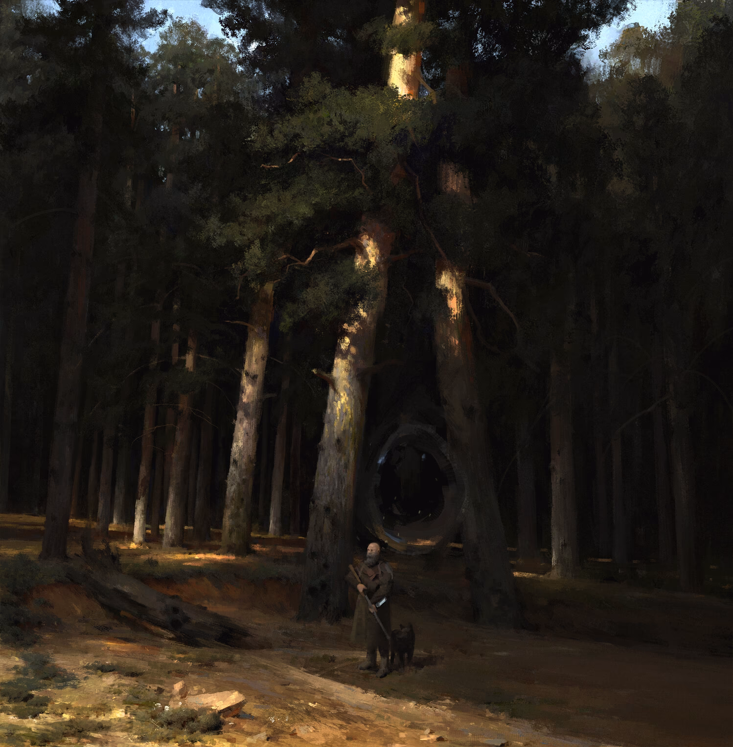 Where can I get a professional MOT test?