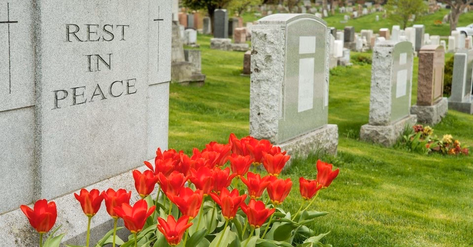What does Rip mean?