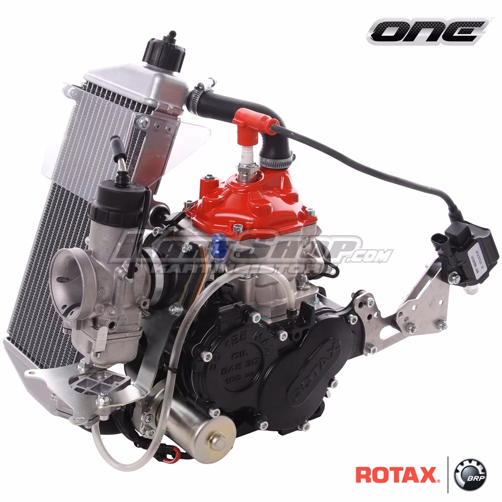 How much does a used Rotax kart engine cost?