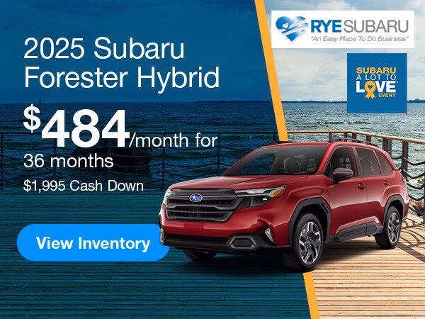 Where can I find the best garage services in Rye?