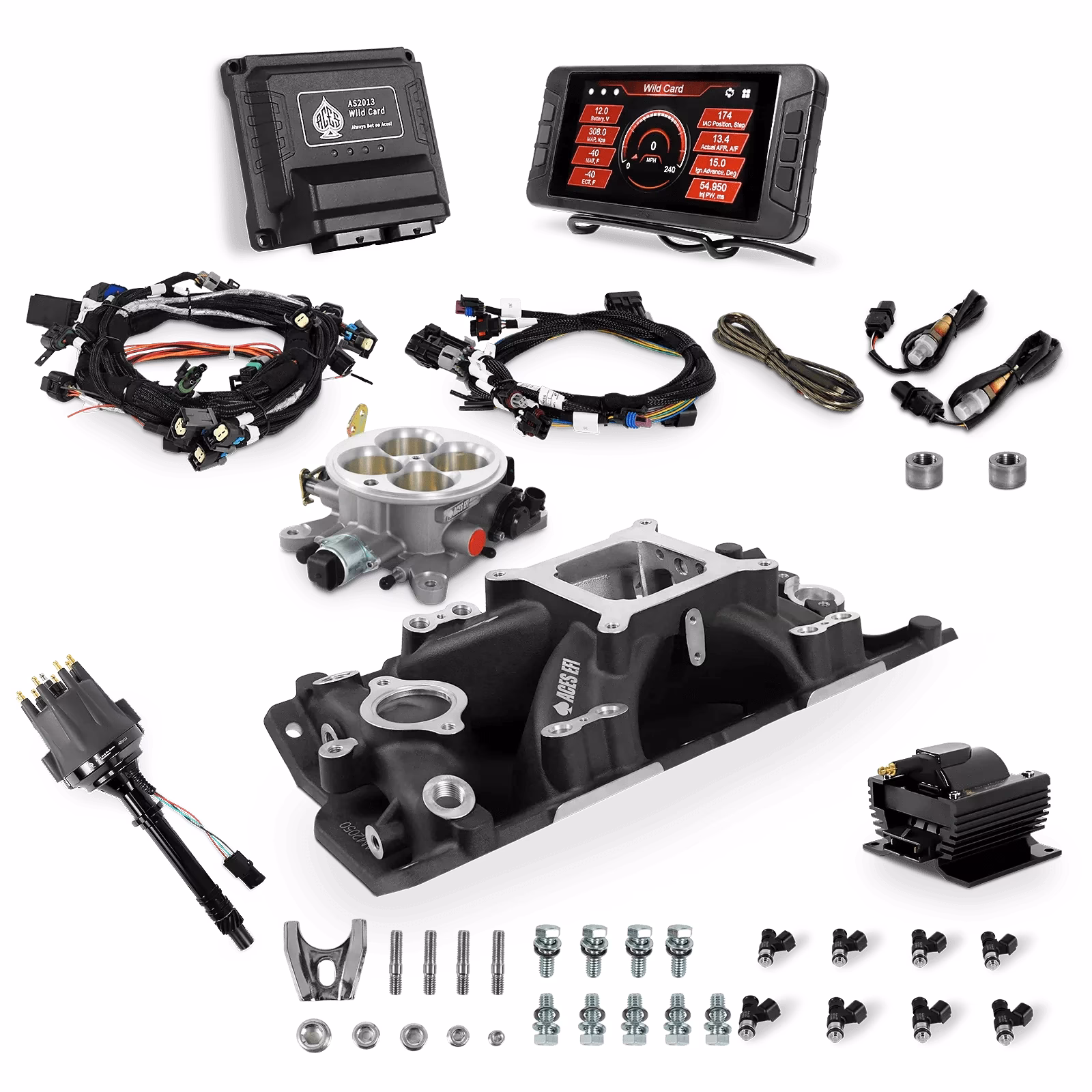 What is the best EFI system for SBC?