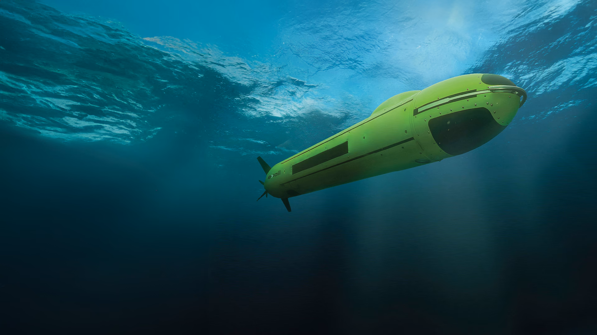 What are IRM underwater services?